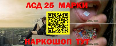 Альфа ПВП Шебекино