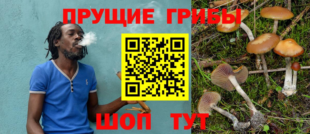 Галлюциногенные грибы мухоморы  Галлюциногенные грибы Cubensis  Вход с VPN  Луховицы 